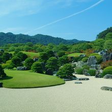 凄く手入れが行き届いています