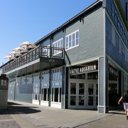 シアトル水族館 クチコミ アクセス 営業時間 シアトル フォートラベル シアトル水族館 クチコミ アクセス 営業時間 シアトル フォートラベル