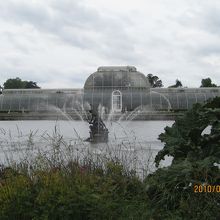 ﾌﾟﾘﾝｾｽ･ｵﾌﾞ･ｳｪｰﾙｽﾞ･ｺﾝｻﾊﾞﾄﾘｰ｡大きな