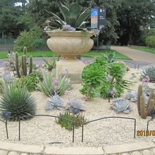 こうした庭風にアレンジした場所が多くありました。