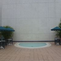 子供用プール。大人用はもっとステキです。