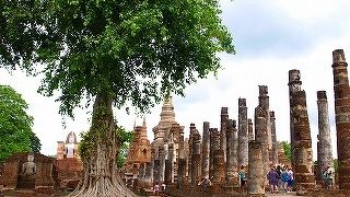 とても広いです。