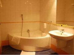 Hotel Mlyn & SPA 写真