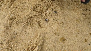 行ってはいけない・古宇利島中央地区？