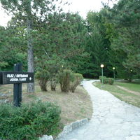 ここから国立公園へ降りていく道です