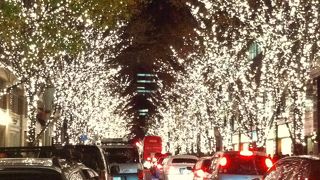 シャンパンゴールドのイルミネーション