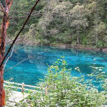 九寨溝・五彩池