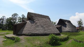 教科書にも出ている超有名遺跡