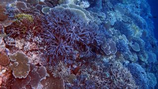 震えるような体験