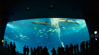 沖縄で有名な場所ですね