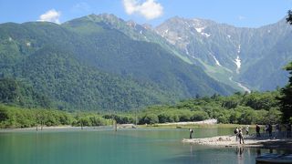 愛犬を連れていくなら…