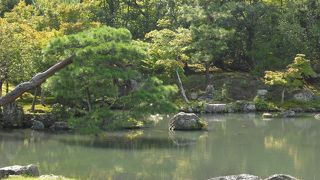 庭が広くて見ごたえがありました。