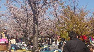 子どもと遊べる公園