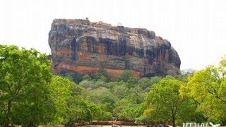 いろいろと楽しめます。