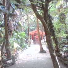 ジャングル神社