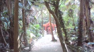 ジャングルの神社