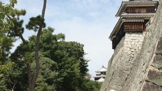 歩いて登ってみよう