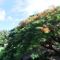 レストラン スカイライト横の廊下からウォーターパークの眺め