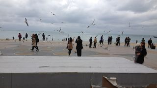 賑わう釜山一のビーチ＾＾