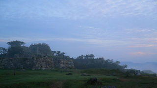 噂通り素晴らしかったです！