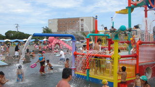 一日では回りきれないくらいたくさんのプール