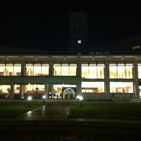 庭からのホテル