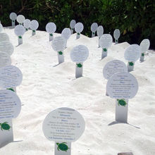 リッツのプール横の階段を降りてビーチに出ると柵がある。