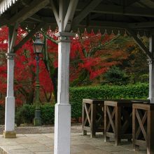 秋色に染まる明治の駅舎