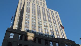 くまがお出迎え