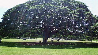 ハワイの有名なパワースポット