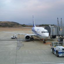 ANA B737-500
