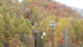 紅葉を見るために