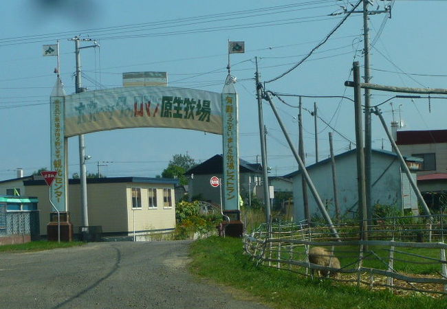 広大な敷地。乗馬体験が可能。