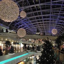 美しいオブジェ