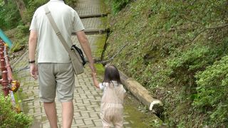 動物が放してある