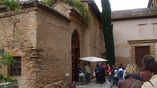 ナスル宮のライオンが・・・