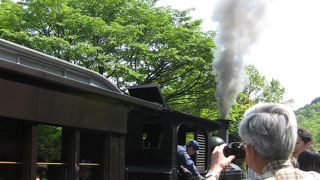 SLにも乗れますよ