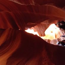 ロウワーです。