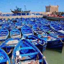 みんな青、しかも同じ色調で、勢揃い