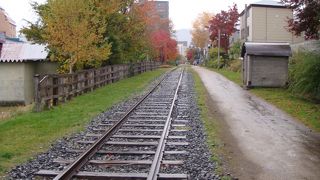 散策は気持ちが良い