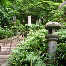 こんな感じの石段を登っていきます。