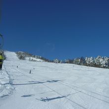 高速クワッドのかかるメインゲレンデ　カービングが気持ちいい