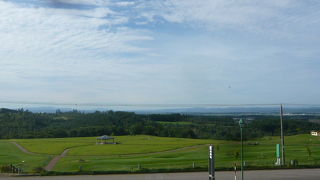 夏～秋はひまわりが見頃