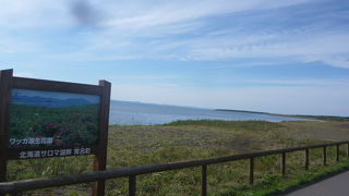 広大な敷地をサイクリング