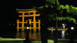 ライトアップが素敵です。