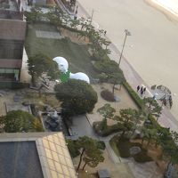 部屋から下方を見てみます