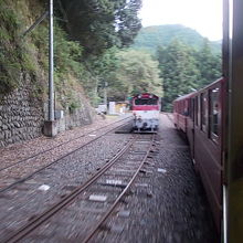 ミニ列車の全貌を車窓から楽しめます