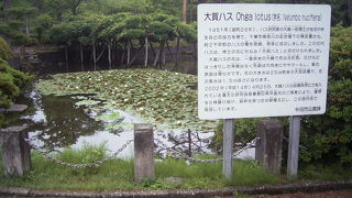 久保田城の本丸の跡です。