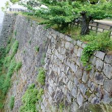 丸亀城高石垣