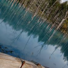 赤とんぼ・・・・秋をかんじます